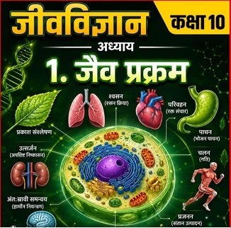 Class 10 Biology sample notes page